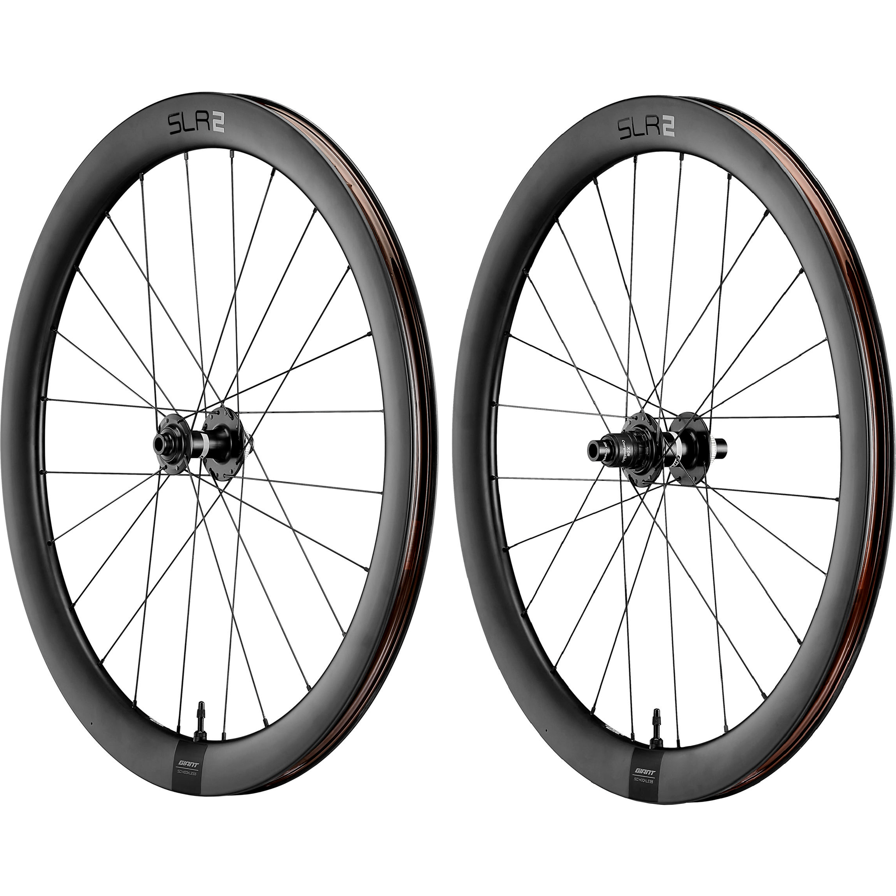 Giant SLR 2 50 Disc Racefiets Wielset