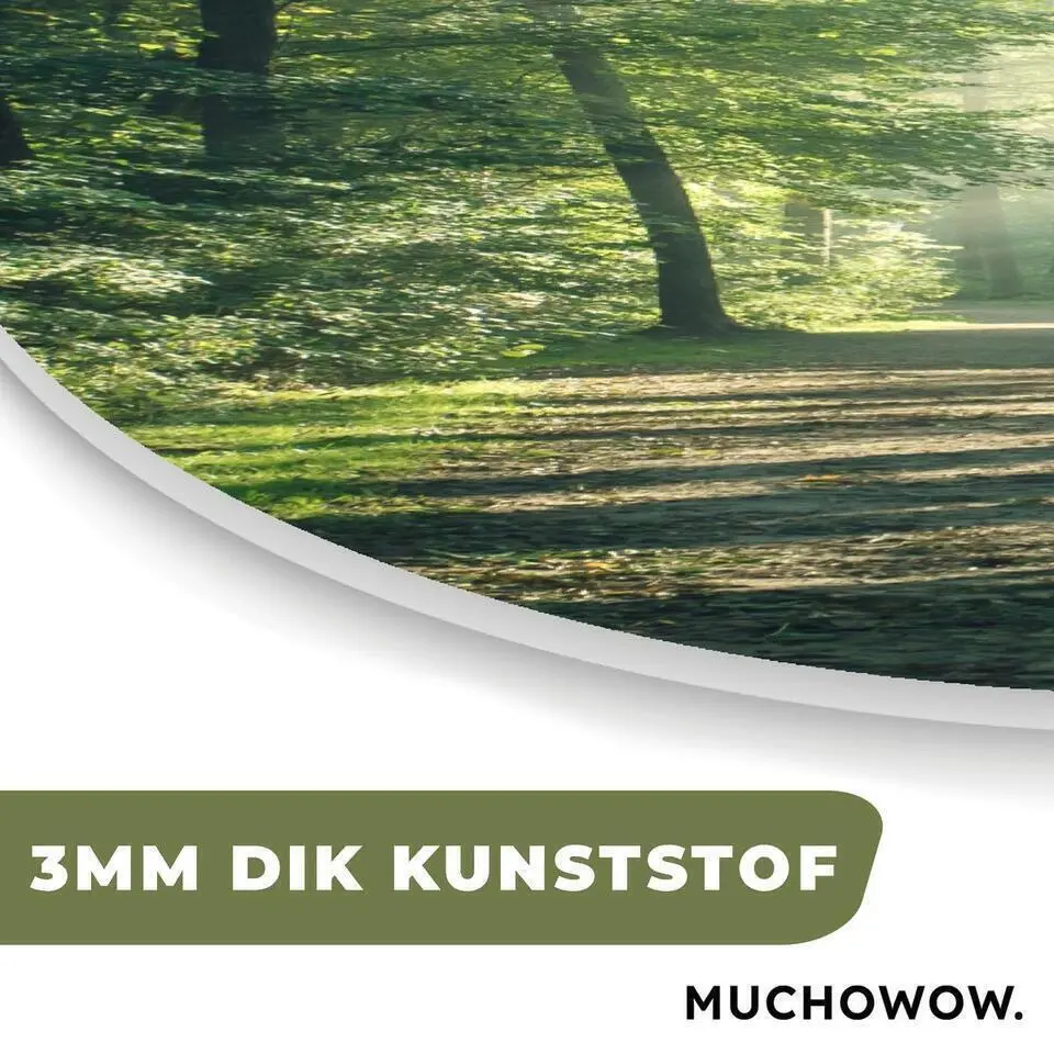 MuchoWow Wand decoratie 80x120cm Bos Pad Zon Bomen Groen