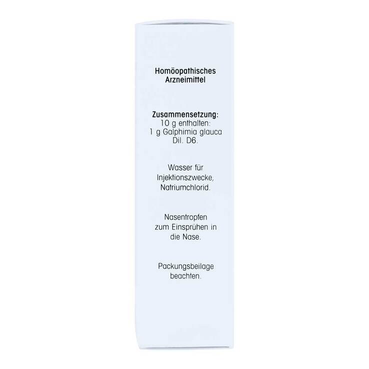 Galphimia glauca D6 Nasenspray, 15 ml