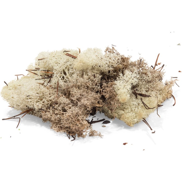 Islandmoos weich, farbig