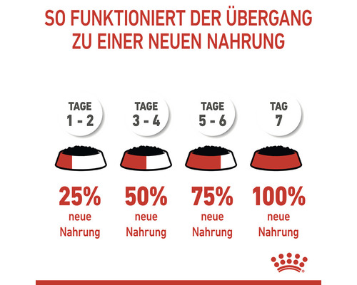 ROYAL CANIN Kitten natvoer voor katten in gelei 85g