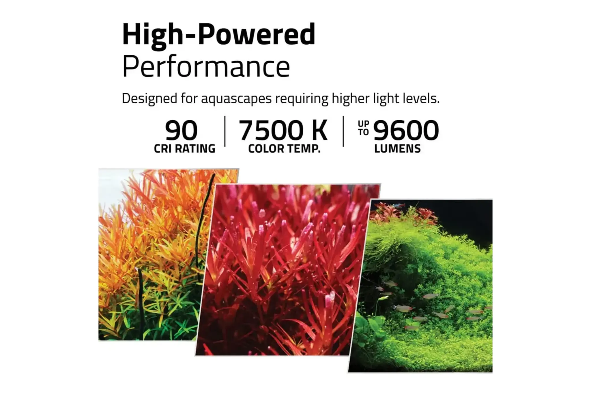 FL Plant Pro 4.0 LED 60W 59-88 cm