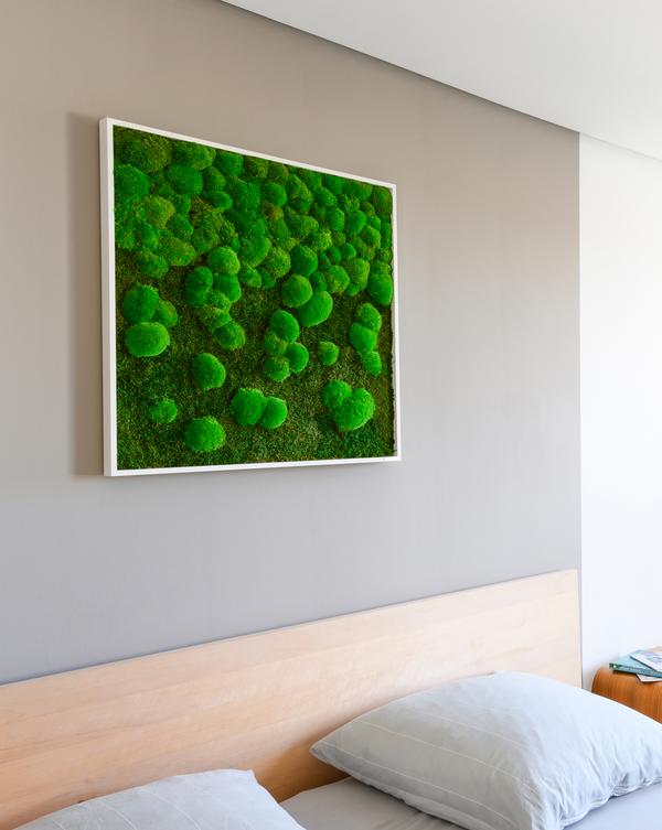 styleGREEN Bild aus Wald- und Kugelmoos im