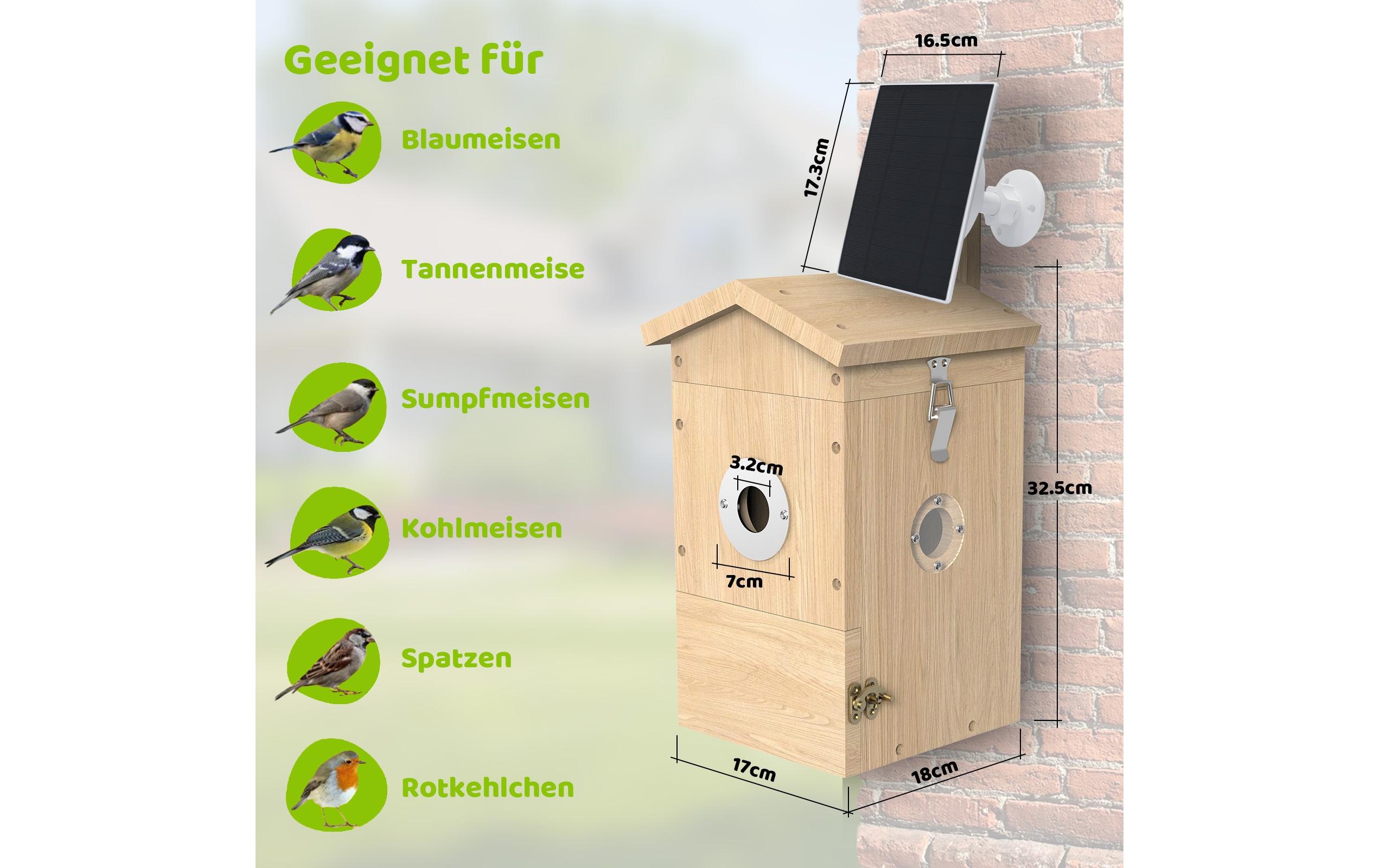 Vogel Nistkasten mit Kamera, Solarpanel inklusive<br>Nistkasten aus Holz mit Sonnenkollektor