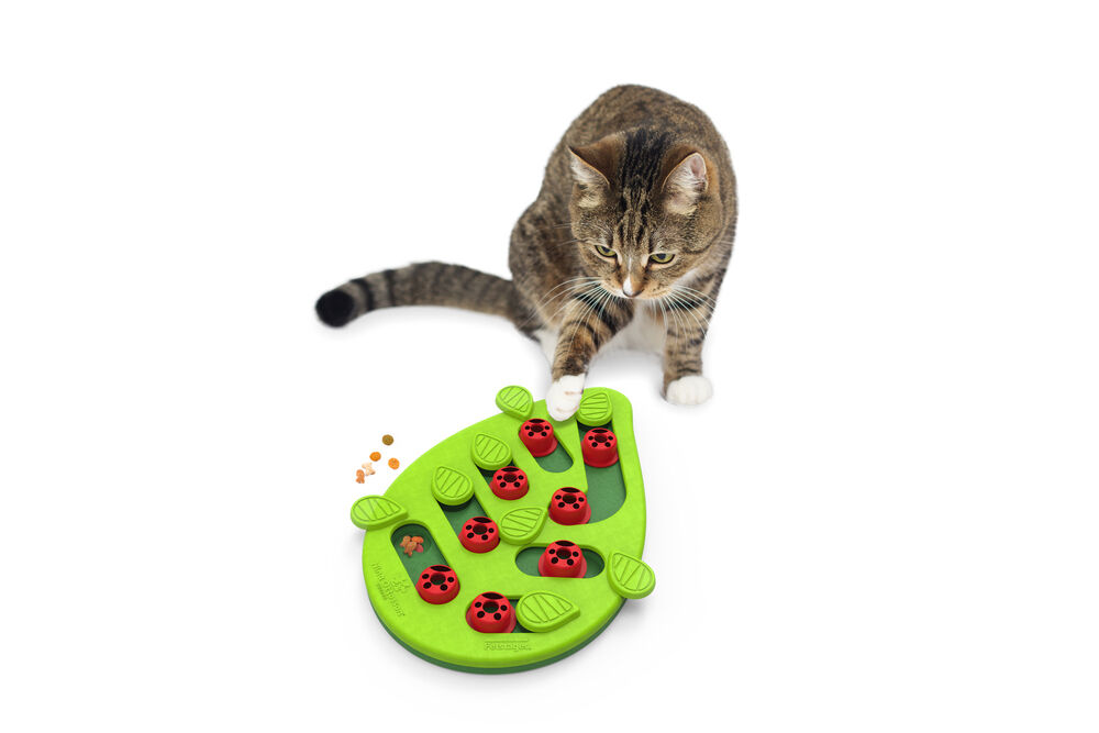 Nina Ottosson Buggin' Out Puzzle & Play - Kattenspel