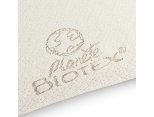 BIOTEX - Oreiller rectangle Oreiller 60x40