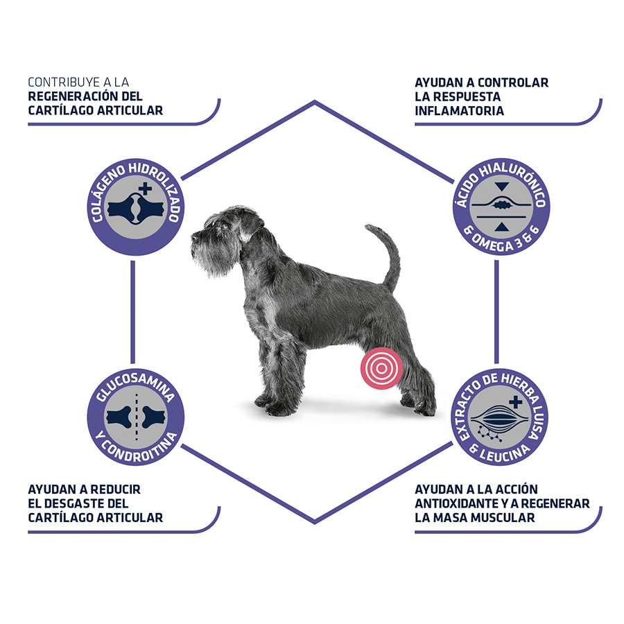 kg de ração Advance Veterinary Diets Articular +7 para cães seniores