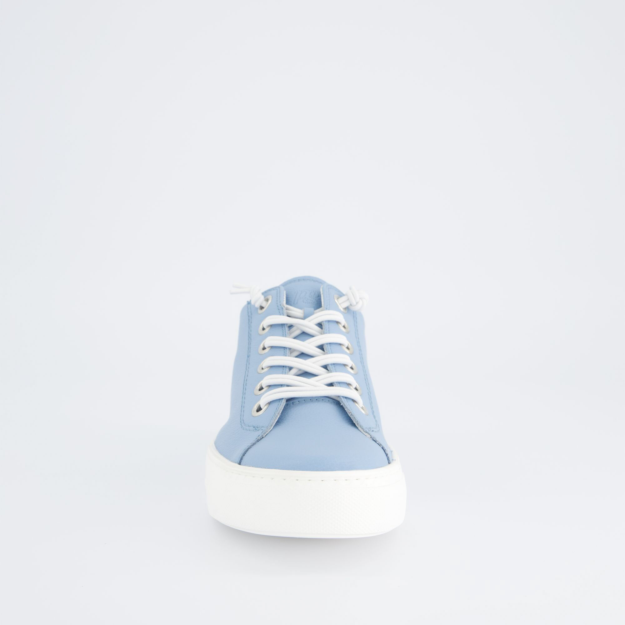 Paul Green4081