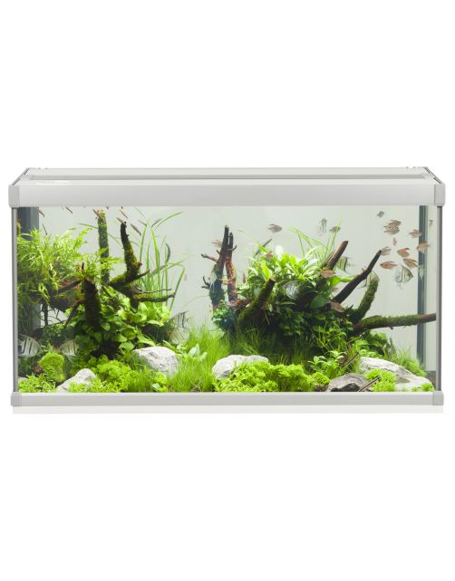 Akvastabil Family Aquarium - Aquaria - 80x35x42 cm 112 l Grijs Wit