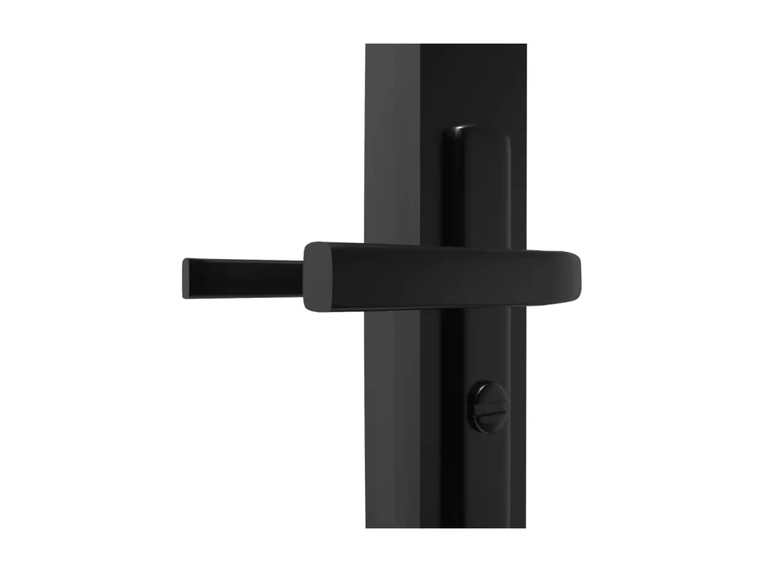 Porte intérieure Verre ESG et aluminium 76x201,5 cm Noir