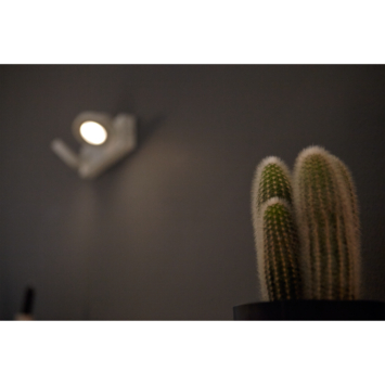 Philips duospot Clockwork wit incl. WarmGlow LED-lichtbron