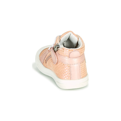 GBB - LEOZIA - Rose