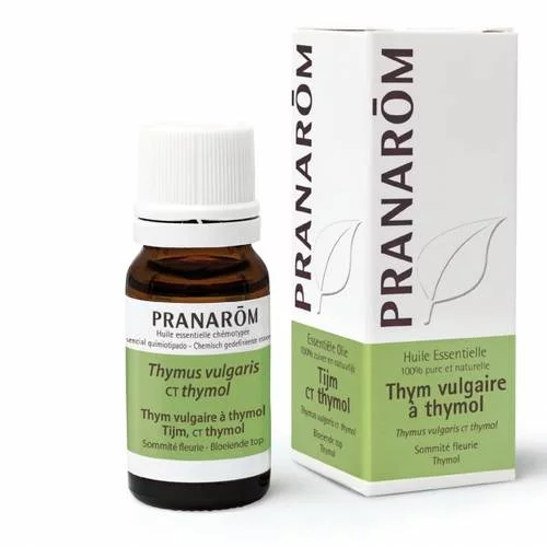 Thym vulgaire à thymol - 10 ml Sommité fleurie