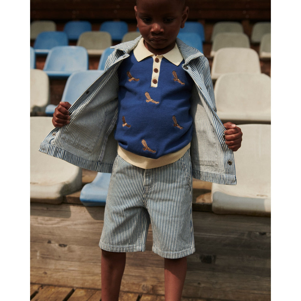 Køb COPENHAGEN COLORS Denim Blue Stripe Y/D Stripe Twill Shorts