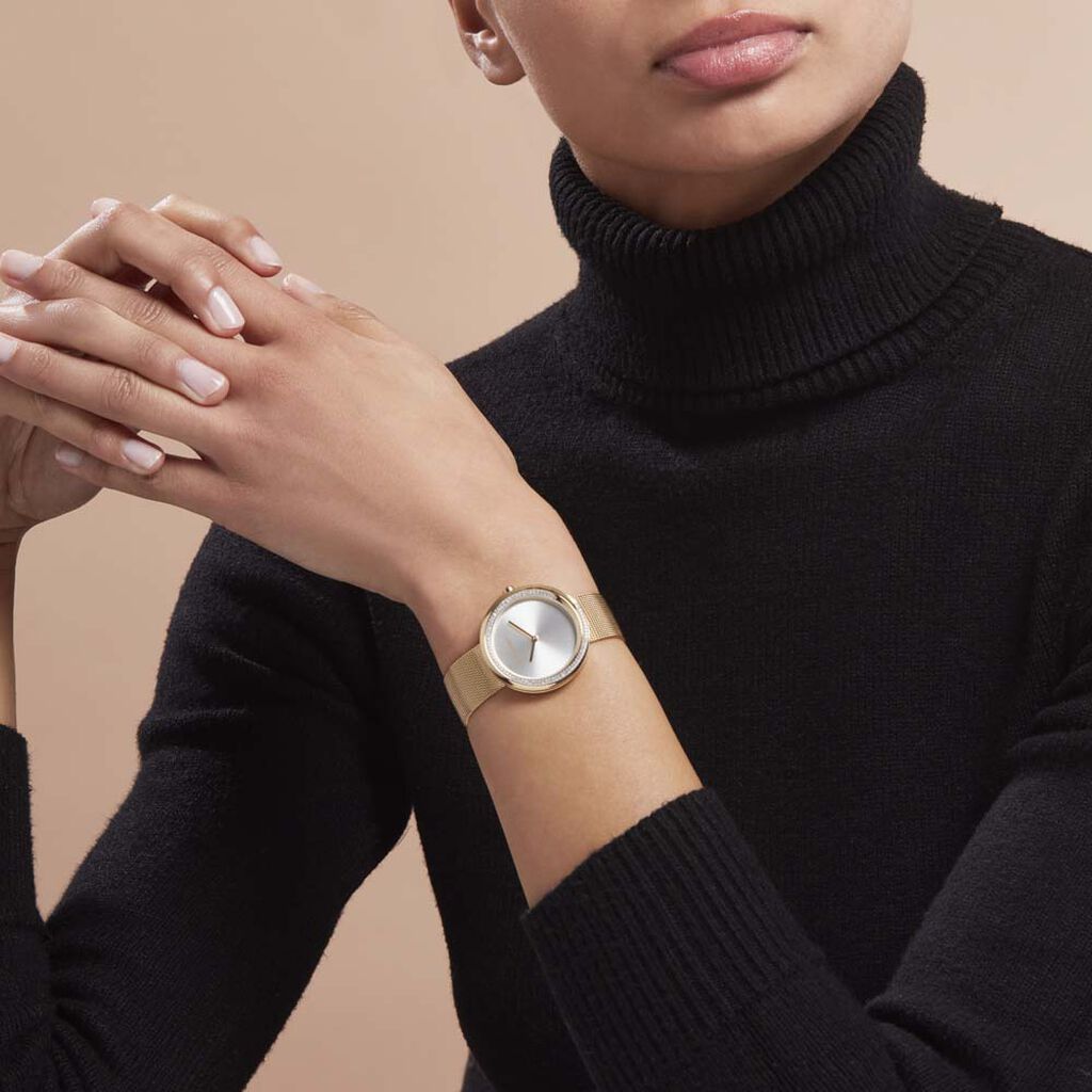 Montre Calvin Klein Twist Argenté