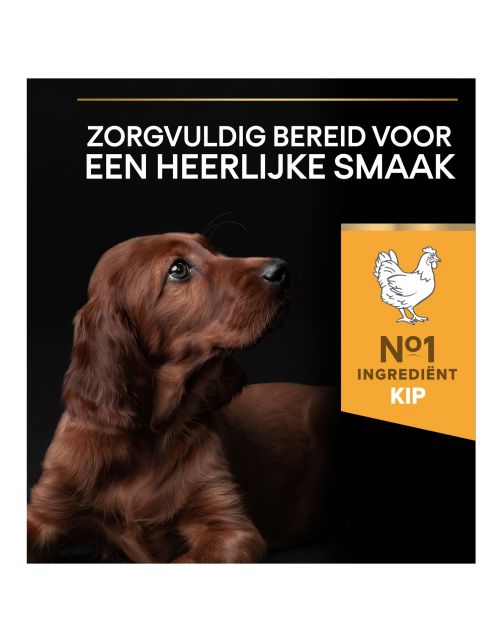 Pro Plan Dog Puppy Large Breed Athletic Kip - Hondenvoer