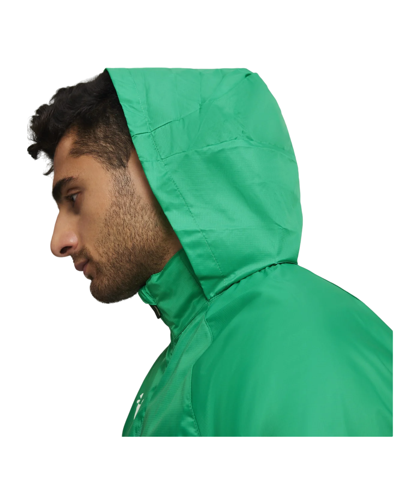 PUMA teamGOAL Allwetterjacke Grün Weiss F05