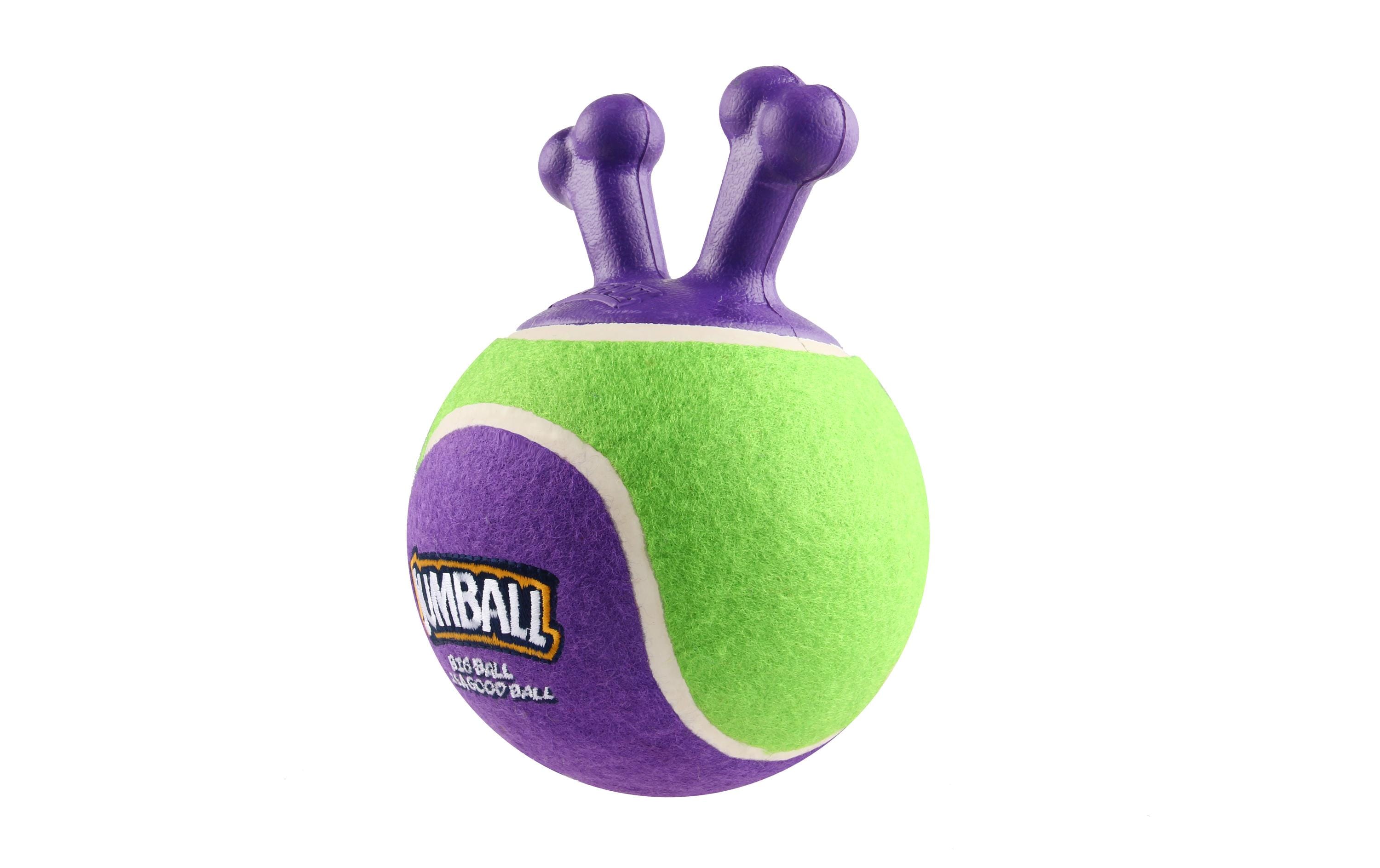 Hunde-Spielzeug Jumpball, Tennis Ball, Grün/ViolettSpielzeug für Hunde