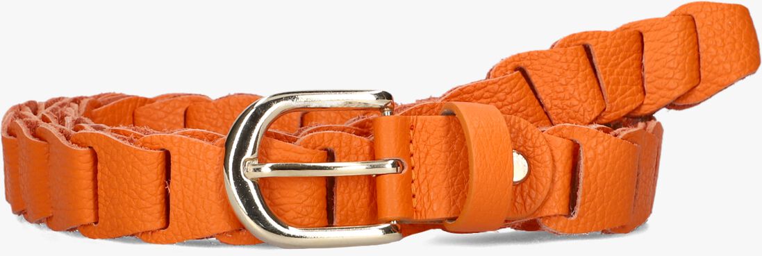 NOTRE-V oranje notre-v riem berna