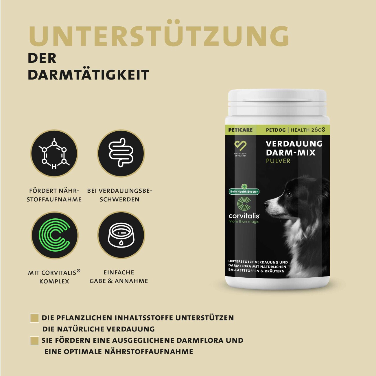 Peticare Ergänzungsfutter Verdauung & Darm-Mix Pulver Hunde 125g