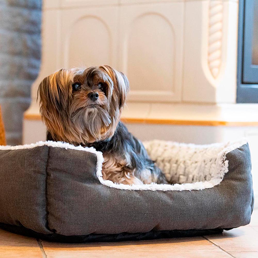 Ferplast panier chien coussin chien moyen taille panier chat coussin chat doux et confortable 74 x 61 x h 19 cm. Gris