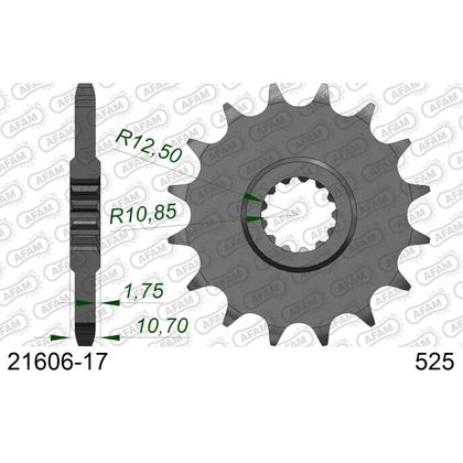 Kit chaine AFAM 525 Type Acier