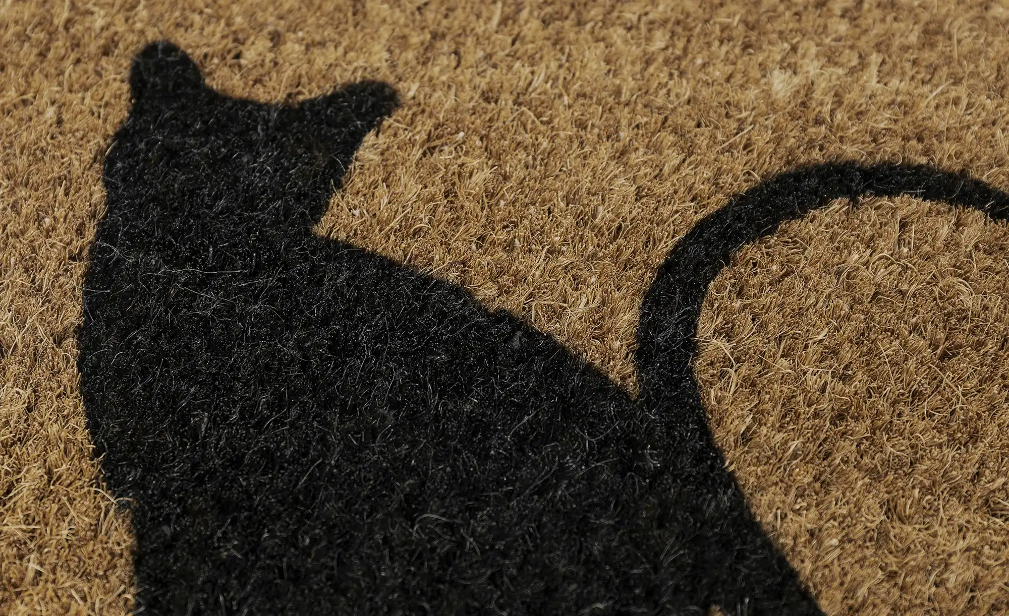 Kokosmatte Katzen