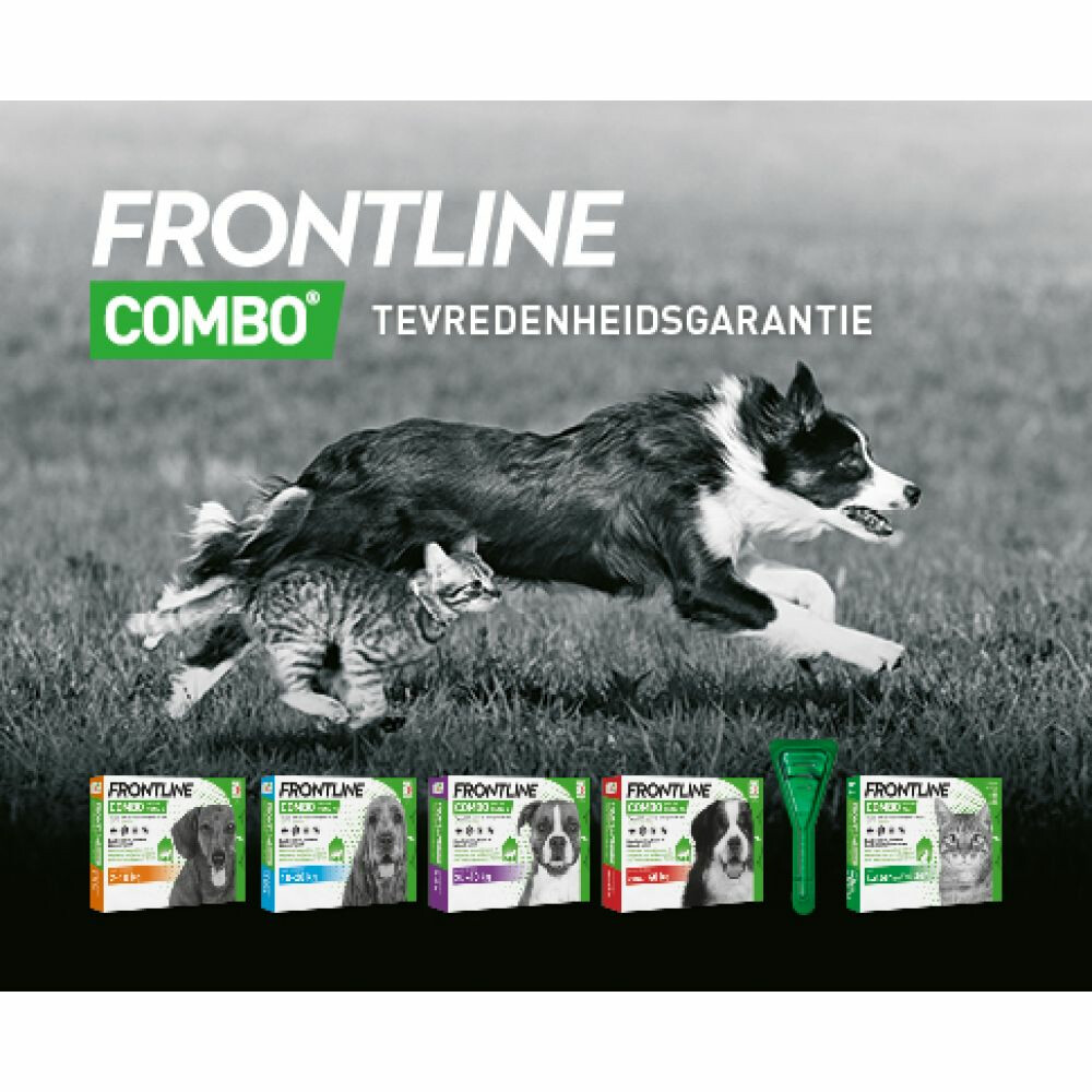 Frontline Combo Spot On Anti Vlooien en Teken Druppels Hond 10 - 20 kg6 pipetten