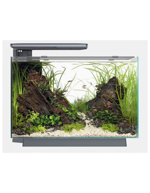 Superfish Quadro 70 Pro - Aquaria