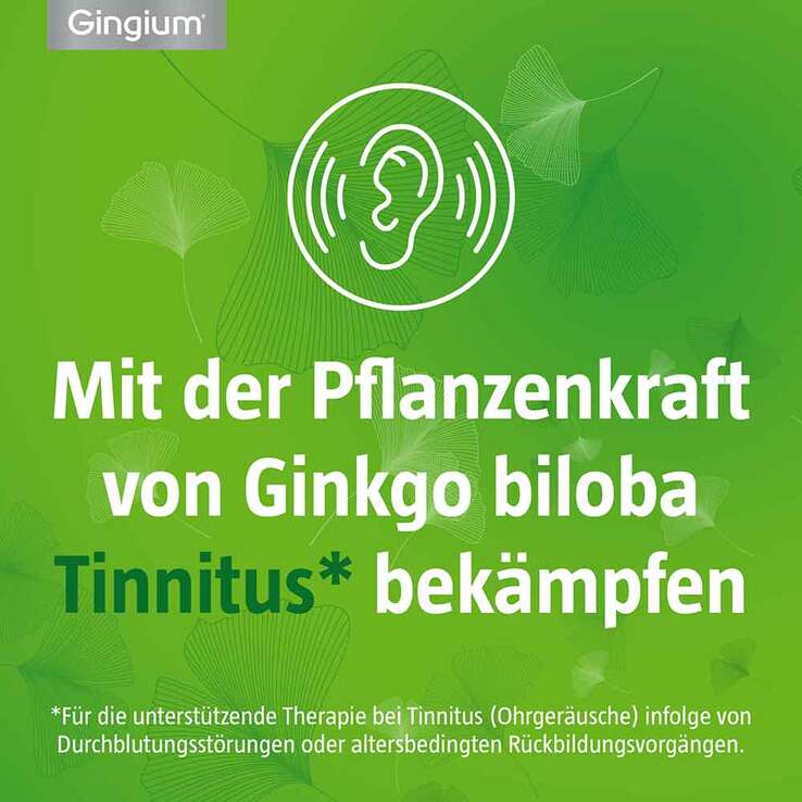 Gingium 120 mg Filmtabletten, 120 St