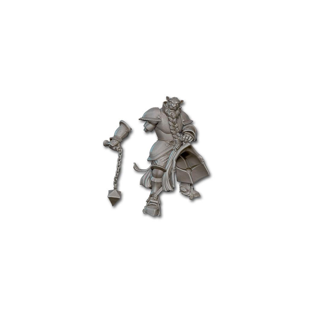 Khârn-Âges : Cavalier Paladin Khârns