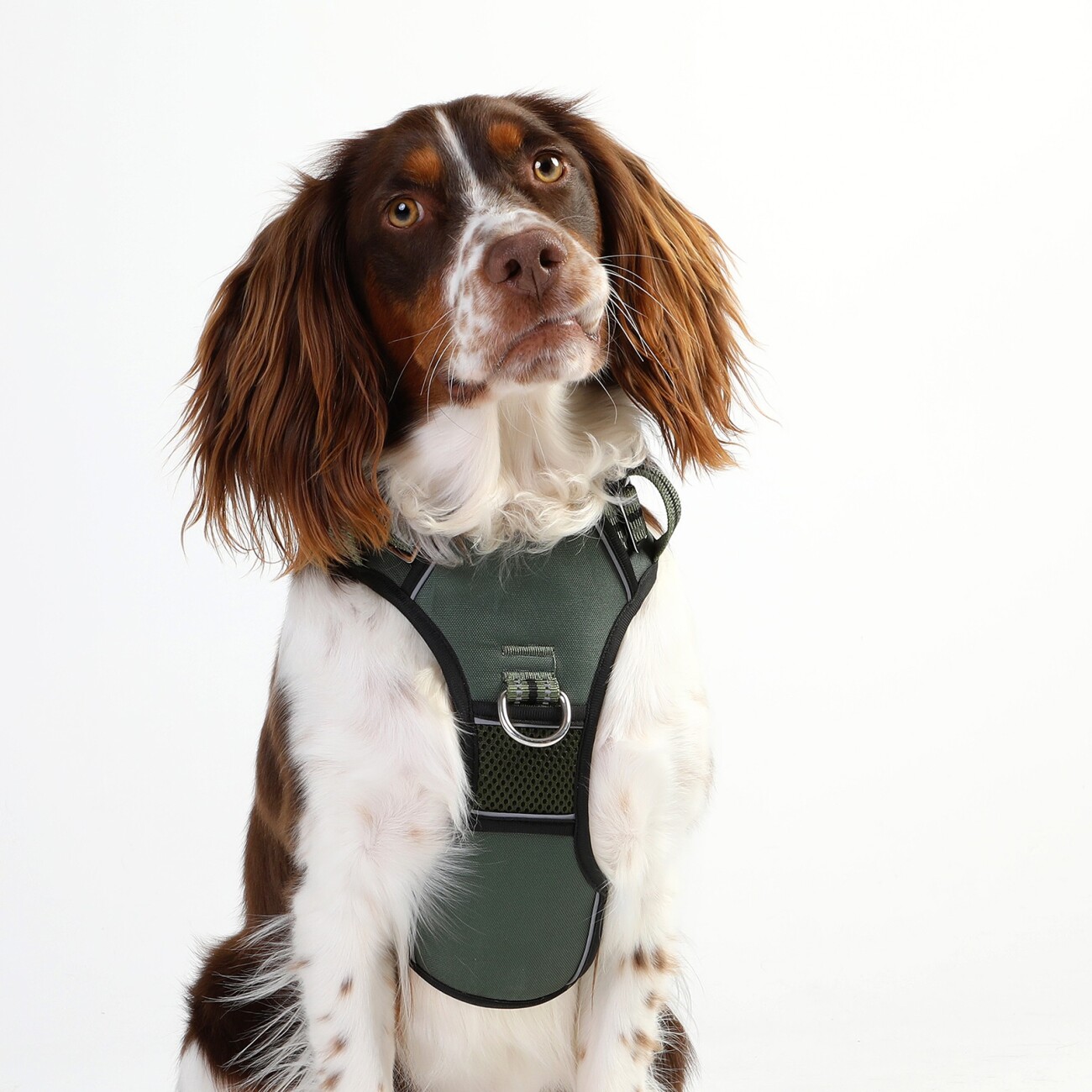 DOOG Neotech Harness GREEN S