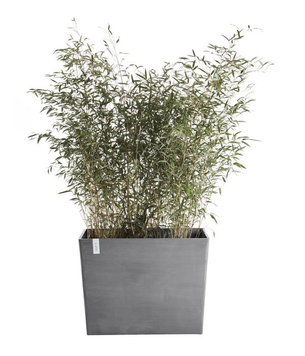 Ecopots Kunststoff-Kasten Paris mit Rollen,