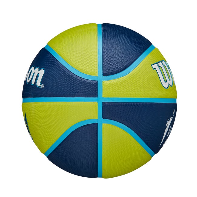 WNBA Tribute Basketball
