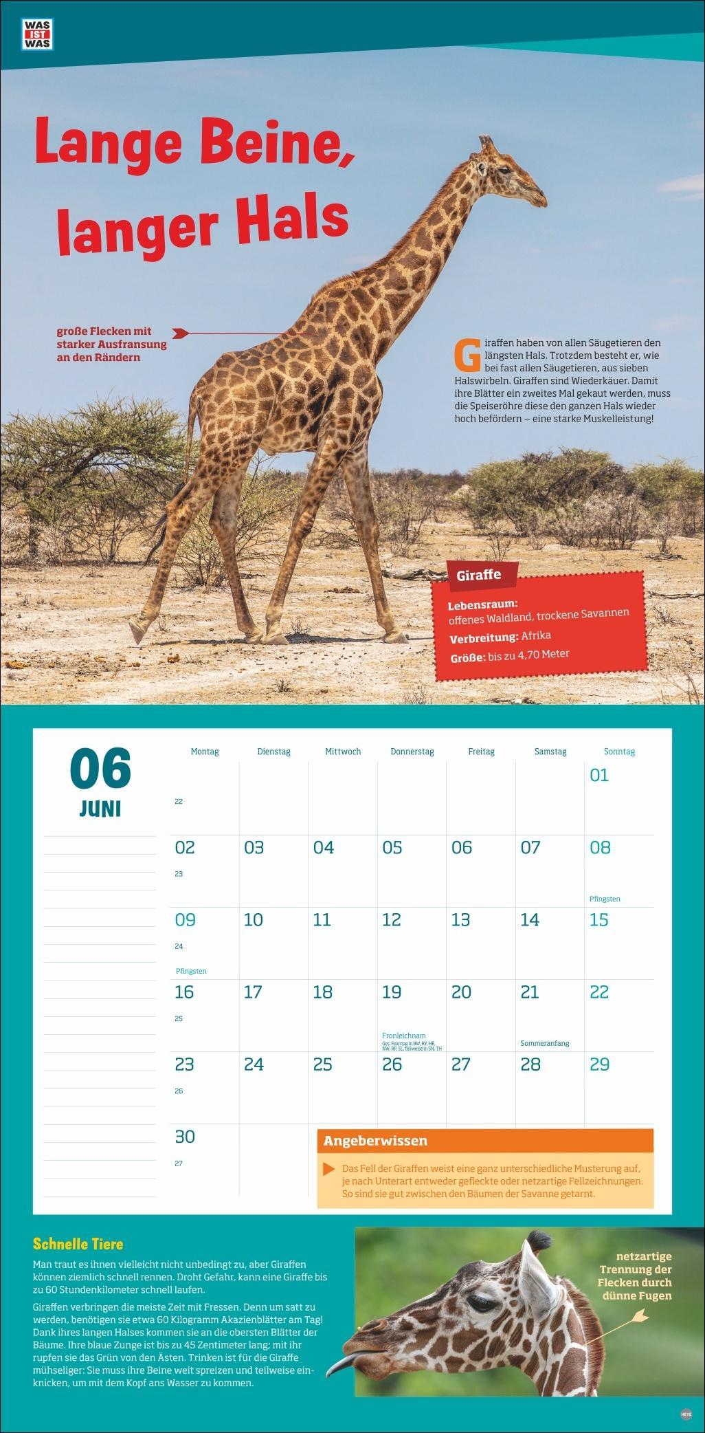 WAS IST WAS Tierwelt Broschurkalender 2025