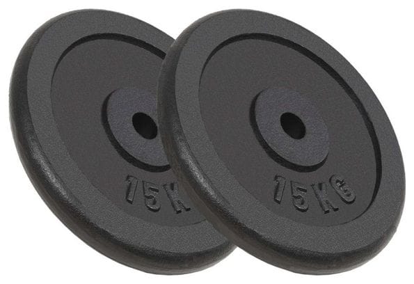 Plaque de poids 2 pièces 2 x 15 kg fonte haltères fitness musculation 02_0000759