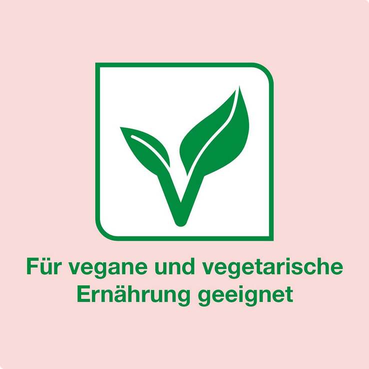 Vitamin B12-Loges 500 µg Kapseln, 120 St