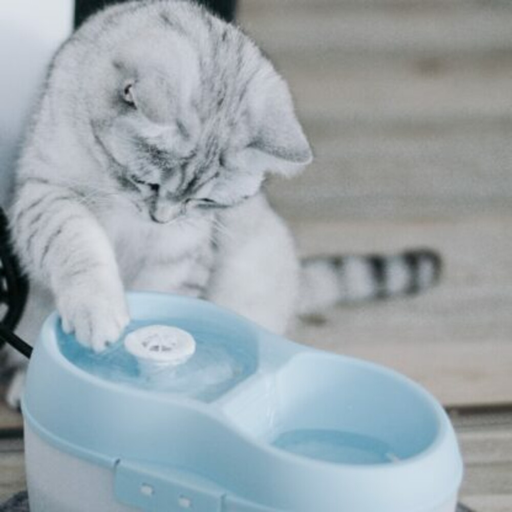 Boon Cat H2O Waterbak 2 liter