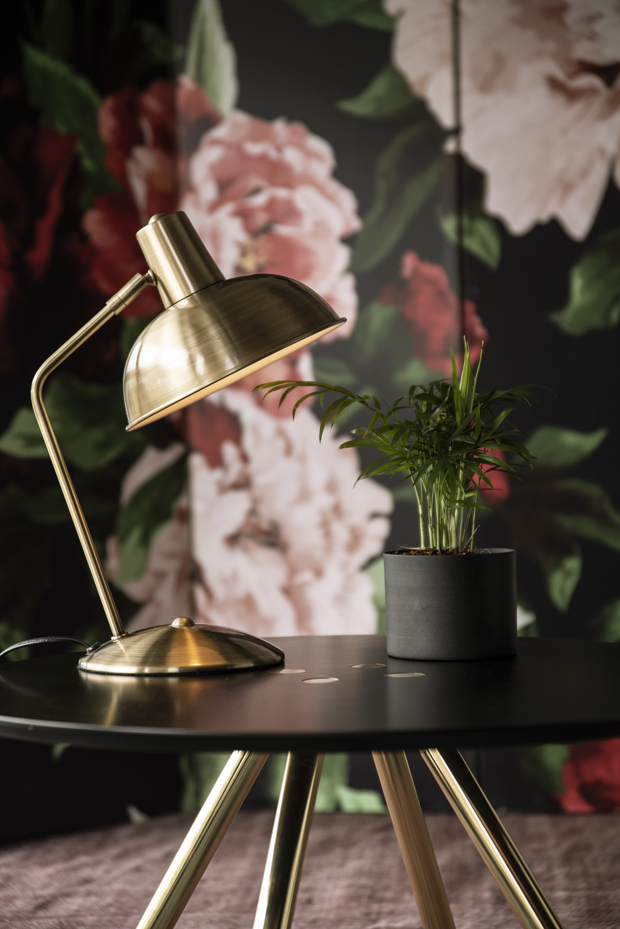 Table lamp Hood brushed gold plated iron