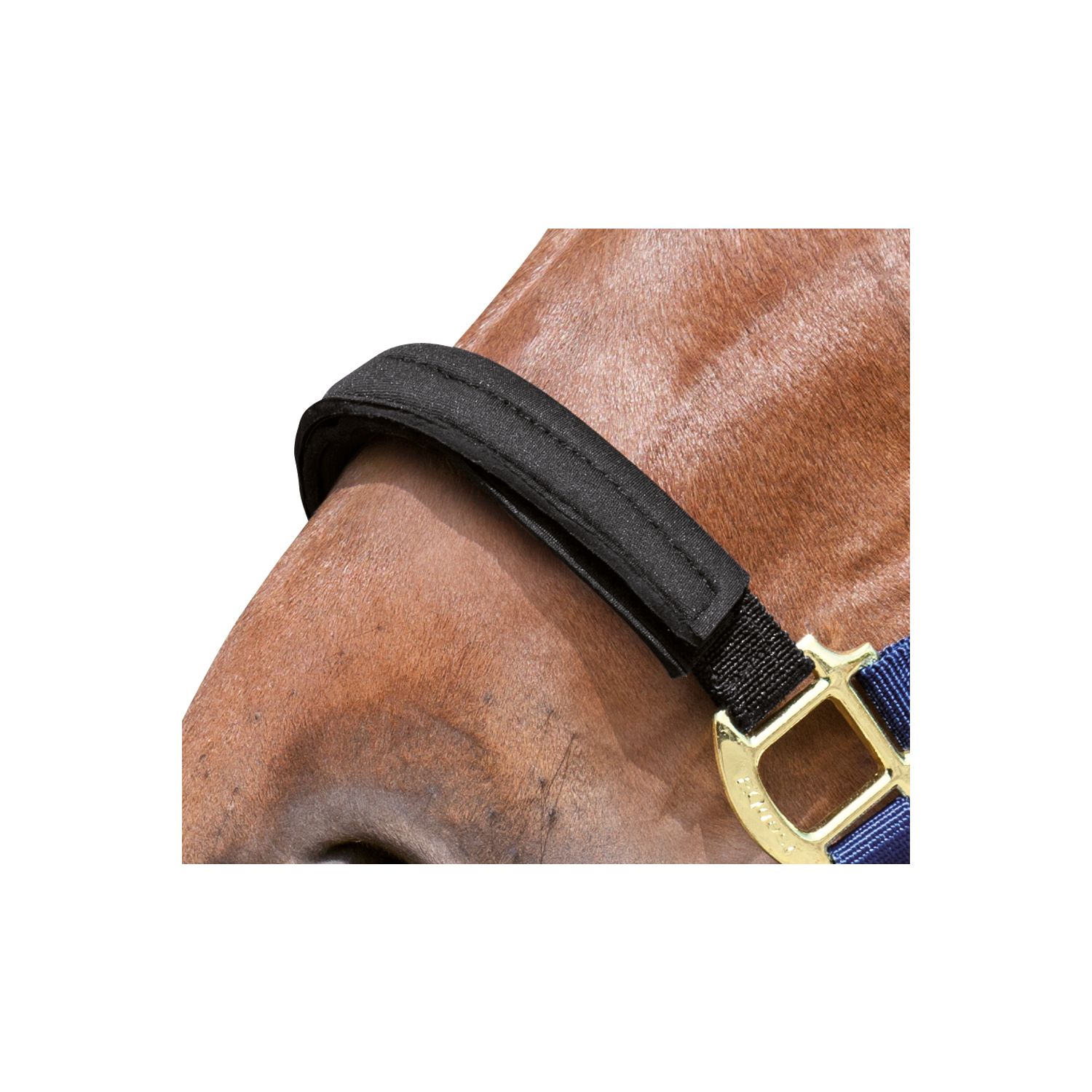EQUEST Ersatzbezug für Equi-Stretch Halfter  - schwarz