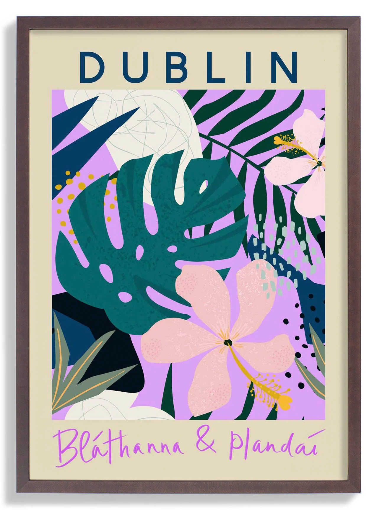 Dubliner Blumenmarkt