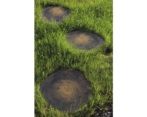 Stapsteen boomschijf bruin Ø 30 - 40 cm