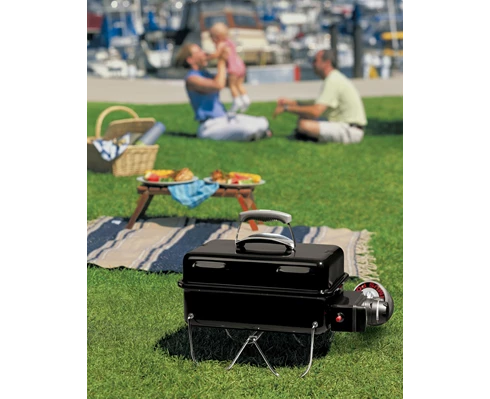 Weber Go-Anywhere Gas