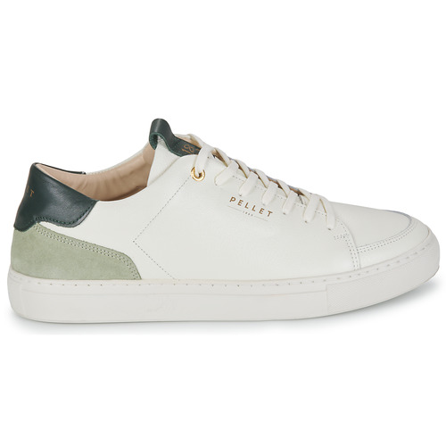 Pellet - SIMON - VEAU GRAINE BLANC / TILLEUIL