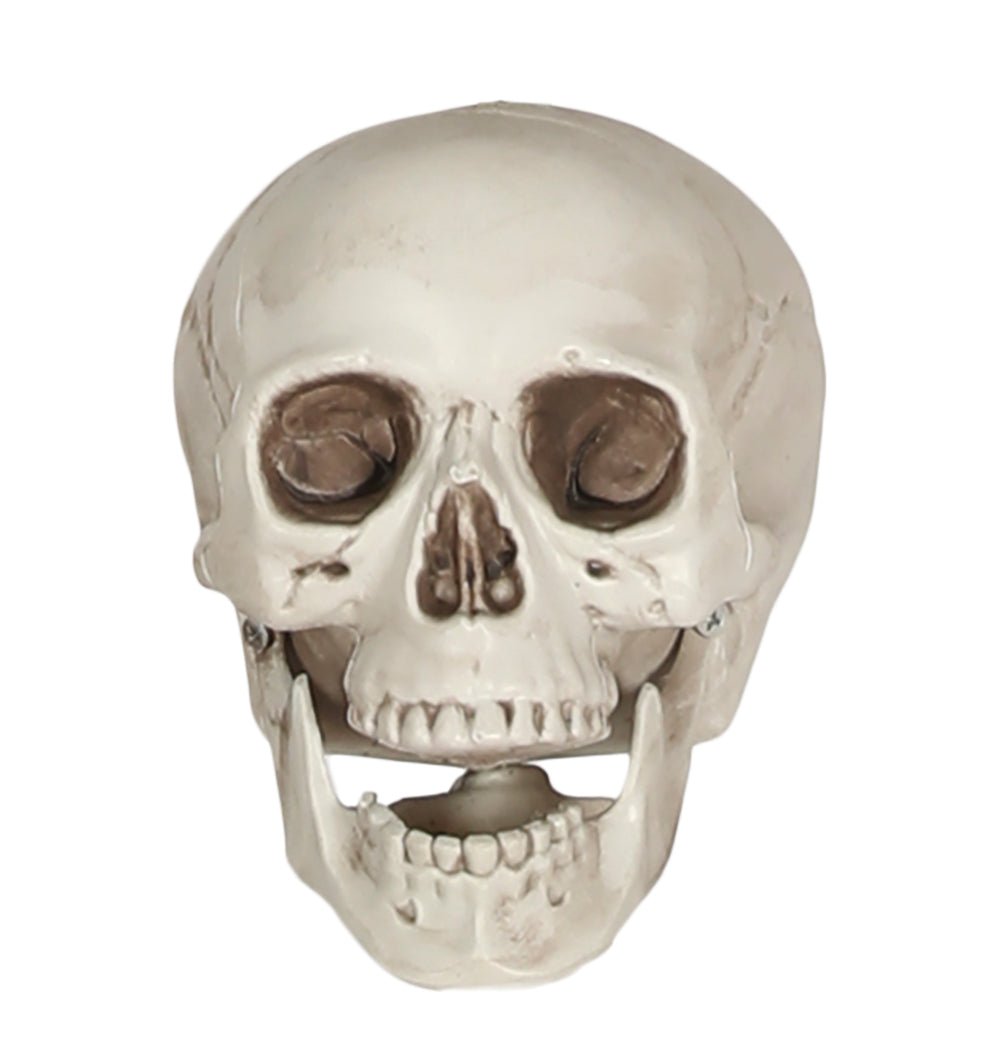 Witte Schedel 20cm