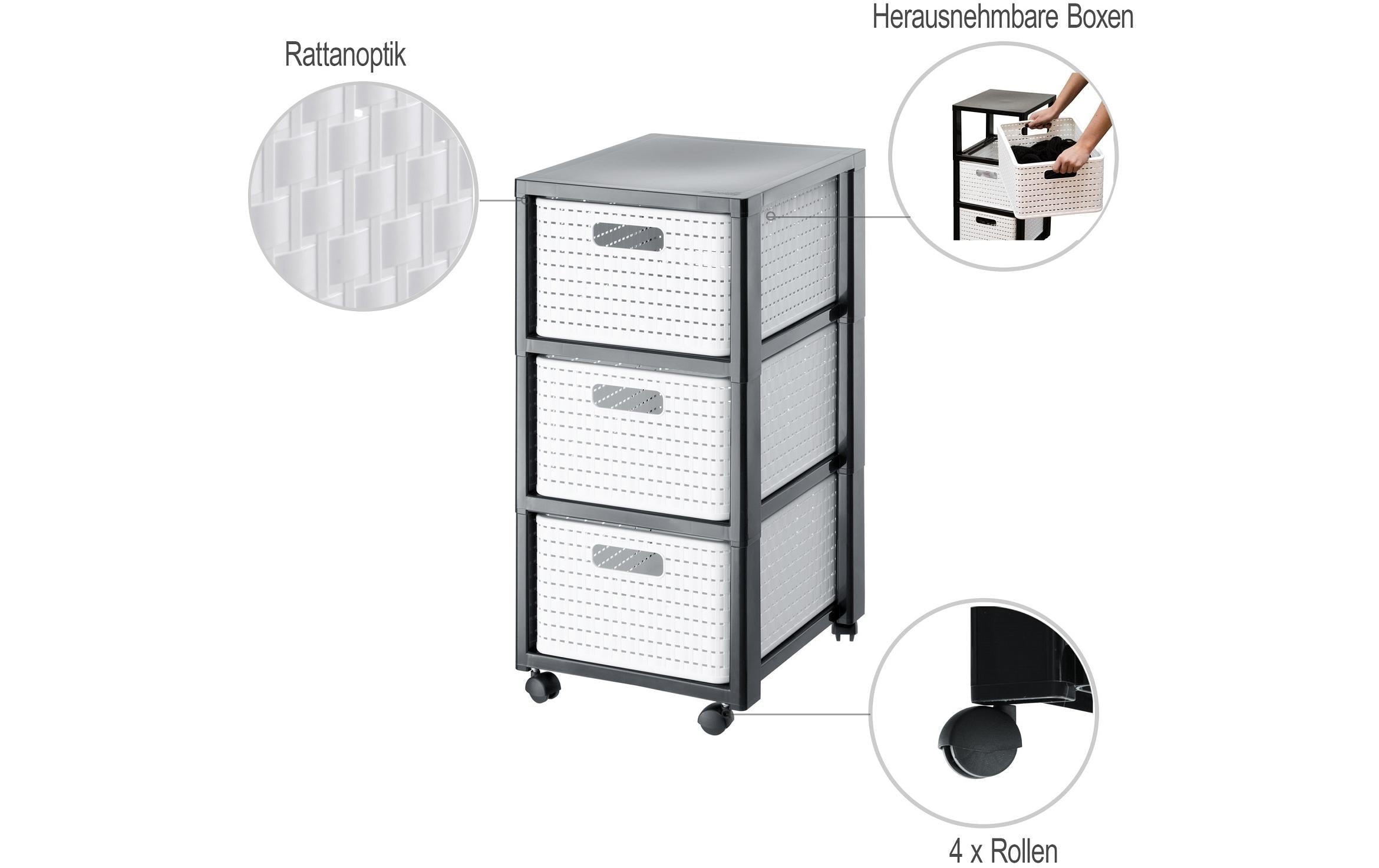 ROTHO Rollcontainer »Country 3xA4 mit Rollen«