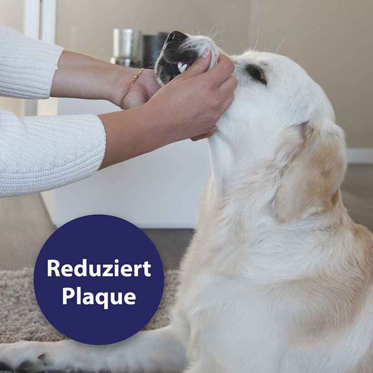 Canosept Zahnpflege Finger-Pads für Hunde, 50 St