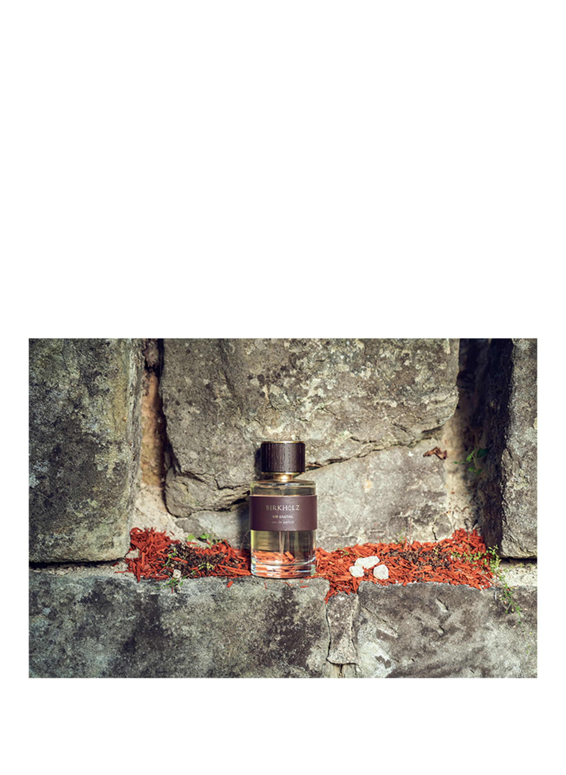 BIRKHOLZ SIR SANTAL