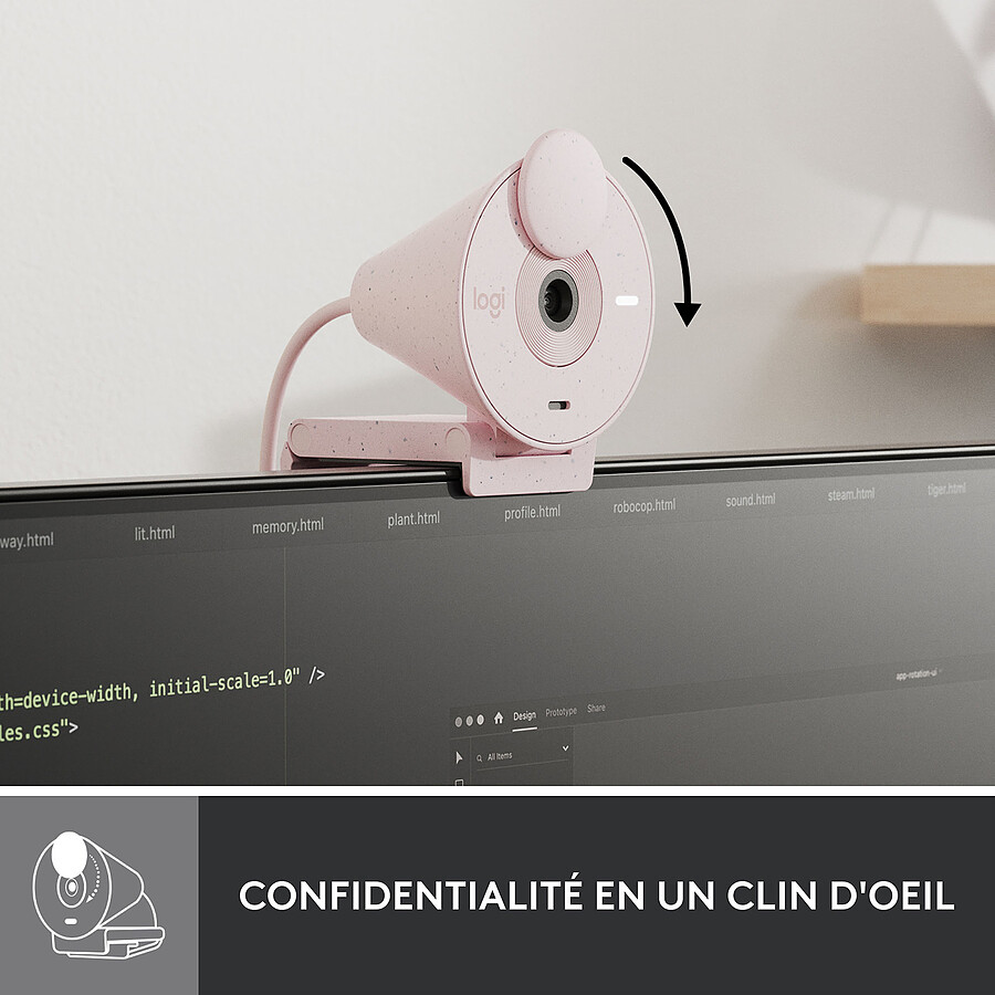 Logitech Brio 300 - Rose