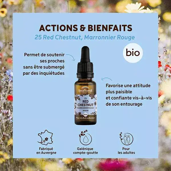Florais de Bach Biofloral 25 Castanha Vermelha Orgânica 20 ml